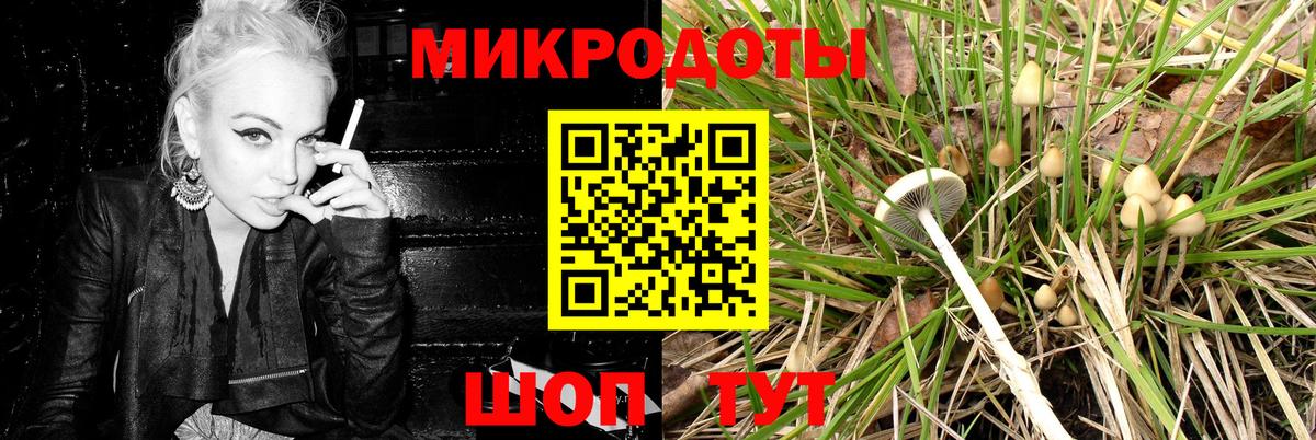 Псилоцибиновые грибы GOLDEN TEACHER Беслан