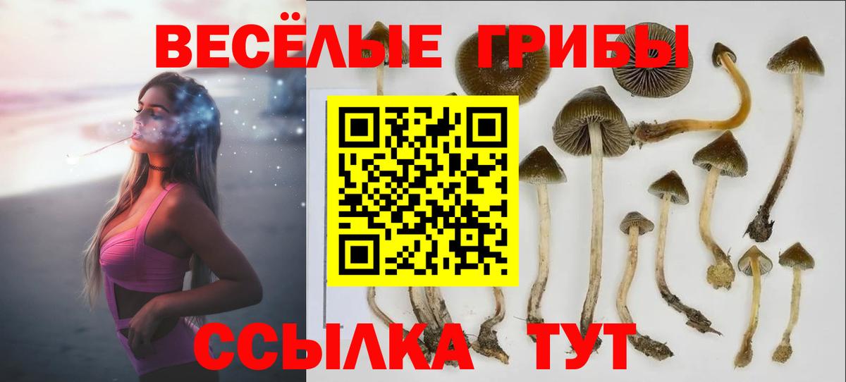 закладки  Галлюциногенные грибы GOLDEN TEACHER  Беслан  Вход с VPN  Галлюциногенные грибы ЛСД 